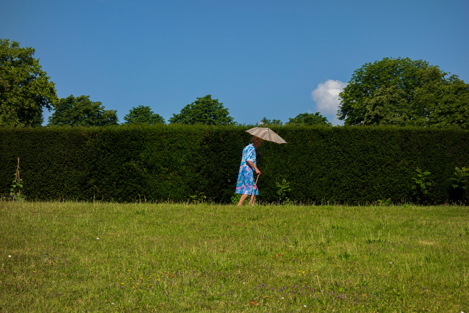 woman walking on grass field with bosh